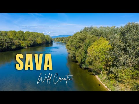 Rijeka Sava - priroda od izvora do ušća