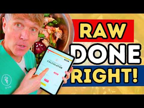 Homemade Balanced Raw Food for Dogs