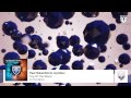 Paul Oakenfold & Joyriders - Top Of The World (DJ Feel Remix)