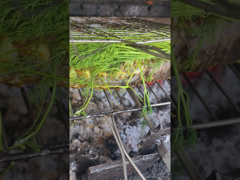 Việt🌾Cozinha vietnamita🌾 #food #vietnamesefood #streetfood