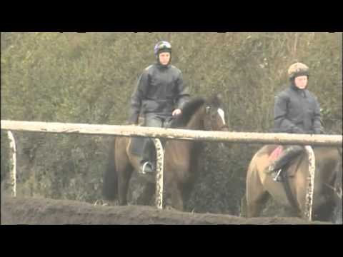 Willie Mullins' Novice Hurdlers - Cheltenham Festival 2012