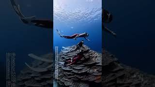 ノースポイント沖縄