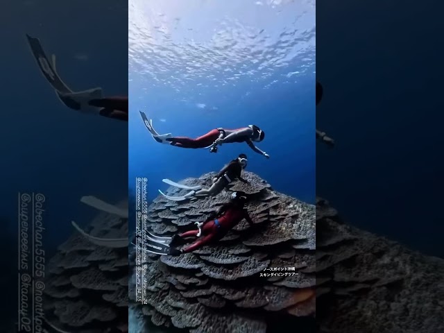 ノースポイント沖縄