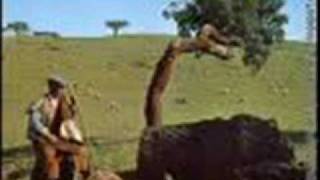 Ronda das Mafarricas - Zeca Afonso.wmv