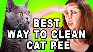Get Rid of Cat Pee Smell: Insider secrets to getting rid of cat urine odor.