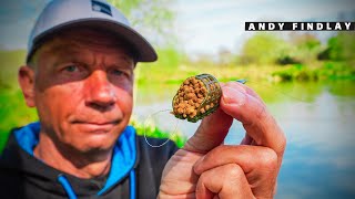 This BLEW My Mind! 🤯 — How One Feeder Changed Everything!