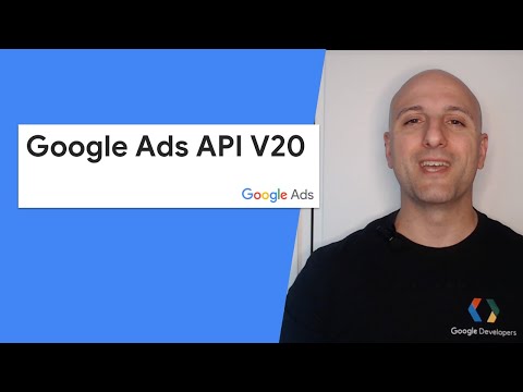 Novità della API Google Ads v20