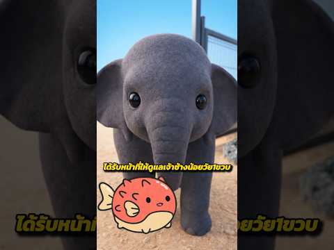 ชายคนหนึ่งที่อุทิศชีวิตให้ช้างจนวินาทีสุดท้าย!? 😭