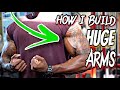 ARM WORKOUT FOR BIGGER ARMS #fitnessmovitation
