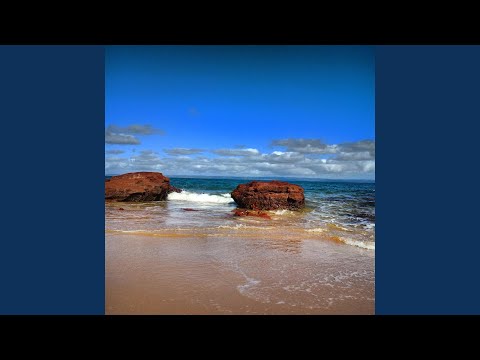 The Reflecting Desert