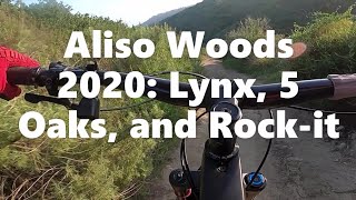 Lynx, 5 Oaks, and Rock-it 2020 and laughs
