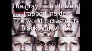 Bad Religion - The Gray Race w/ Lyrics