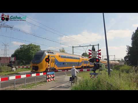 Spoorwegovergang 's-Hertogenbosch 😍4K😍 // Dutch railroad crossing
