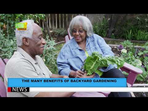 PBCJ NEWS - APRIL 19, 2021