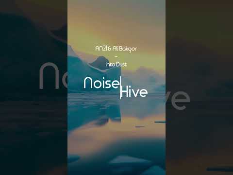 AN21 x ALI BAKGOR - INTO DUST