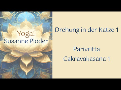 Drehung in der Katze 1   Parivritta Cakravakasana 1
