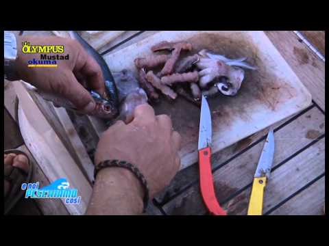 Italian Fishing TV - Olympus - Bolentino di Profondità