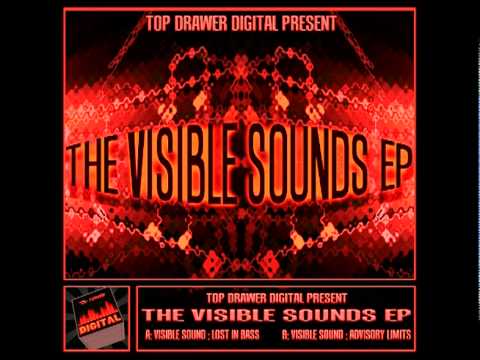 ViSible Sound : The Visible Sounds EP : Lost In Bass