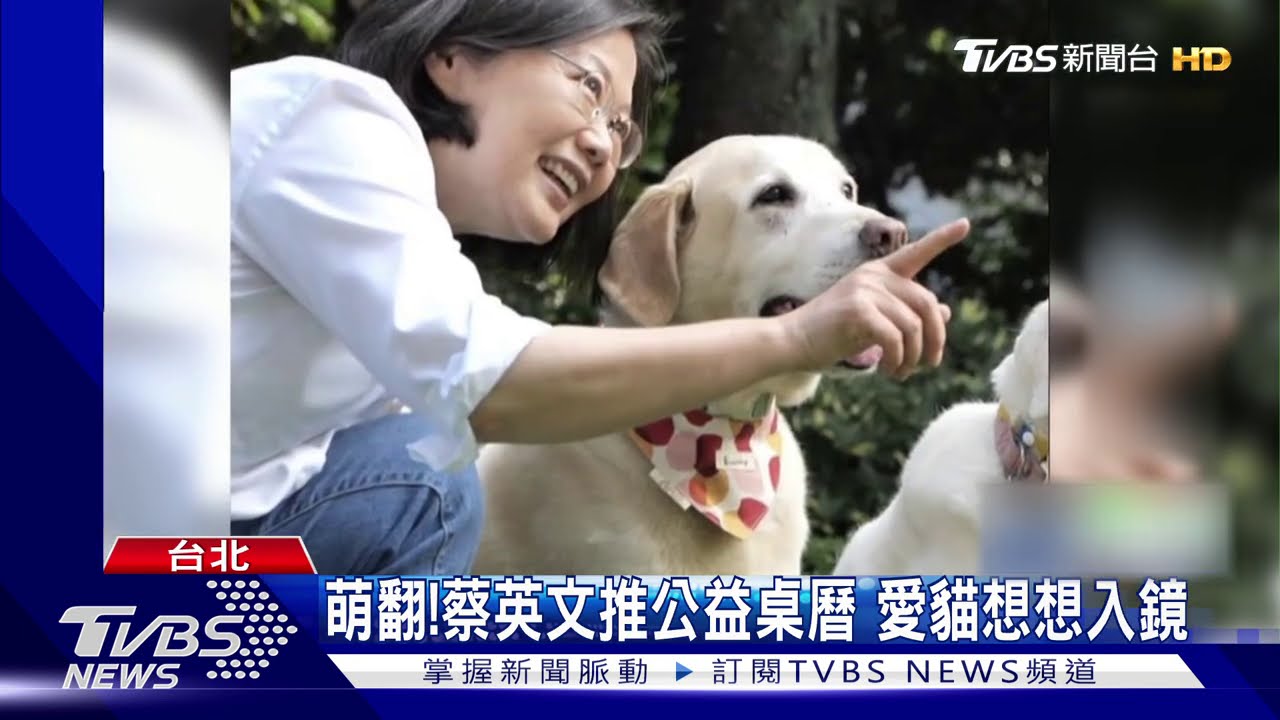 萌翻！蔡總統推公益桌曆　愛貓想想入鏡