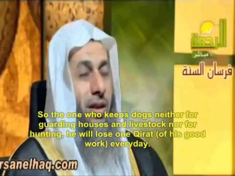 Dogs can chase the angels of Allah so Muhammad banned them - ويحظر على الكلاب