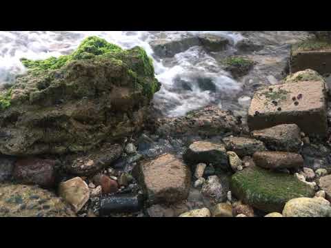 Natural sounds The Redsea - Waves sound - Sunset