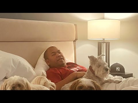 Finally I Moved to Chicago !! Crazy| Kenji Mozaro