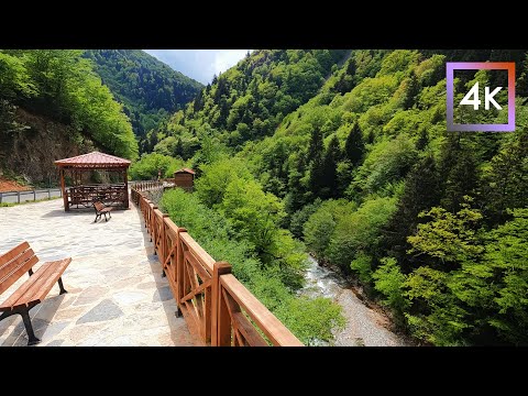 Mavi Falls, Giresün, Turkey | Overview of the Walk to and around | May 2022 | 4k UHD 60fps