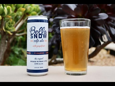 Interview with Sean Boisson, Co-Founder of Bella Snow Soft Ale