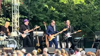 Opportunity - Elvis Costello Live at The Woodland Park Zoo in Seattle, Washington 6/12/2025