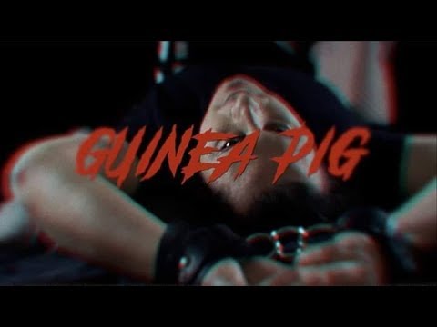 Video thumbnail for Guinea Pig