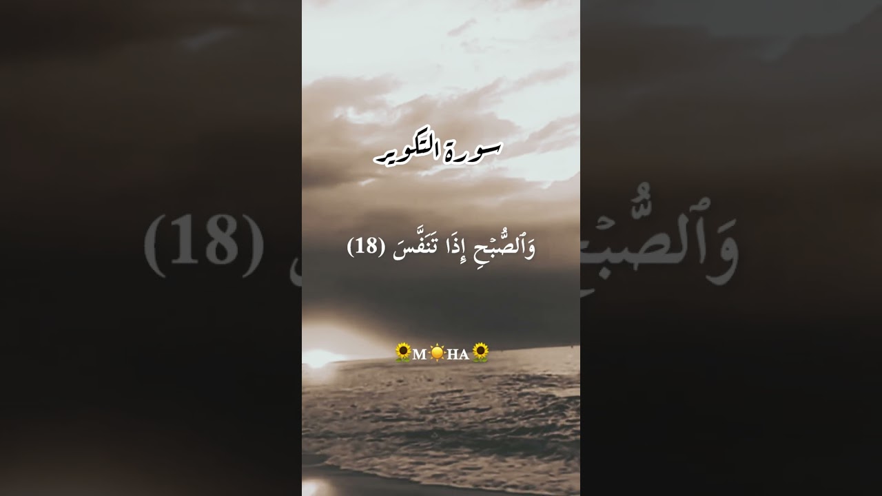 ف لا أ ق س م ب ال خ ن س