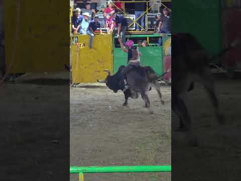 Monta de toros Rodeo El Segoviano San Fernando Nueva Segovia