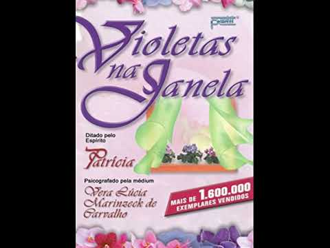 CAPÍTULO 2- VIOLETAS NA JANELA
