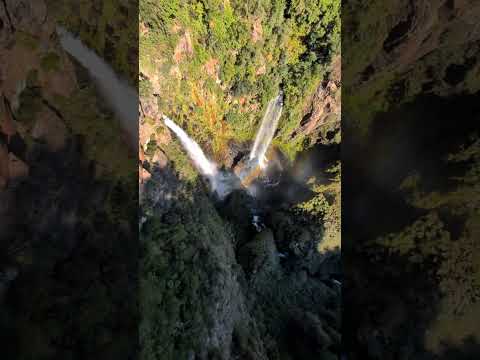 Canopy, Melipeuco, Araucanía. Chile