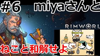 ネコと和解せよ #6【RimWorld】