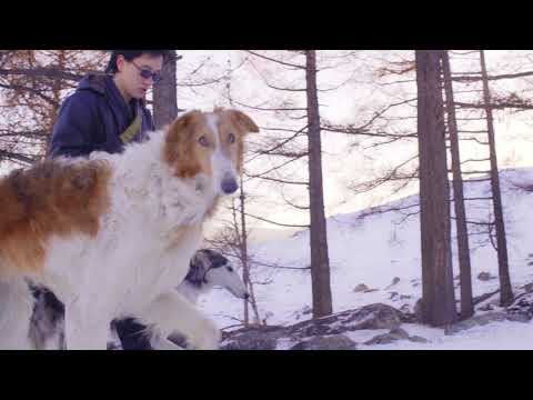 Prince Hanka & 6ixrimzz - Life is Beautiful (teaser)