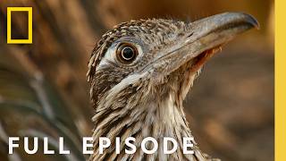 Inside Saguaro National Park (Full Episode) | America's National Parks: Hidden Gems | Nat Geo