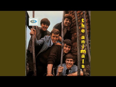 Bury My Body - The Animals