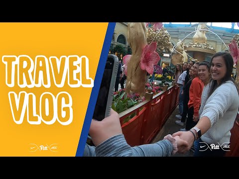 Pitt Gymnastics | Vegas Vlog