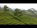 Uthiri Pookal BGM 1979 Isaignani Ilayaraja