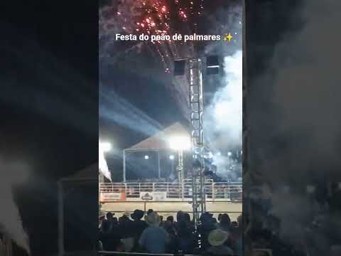 #Festa de Peão de Palmares Paulista # Rodeio ✨