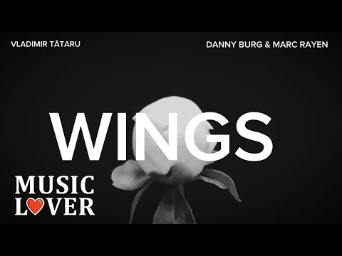 Vladimir Tătaru x Danny Burg & Marc Rayen - WINGS | Lyric Video