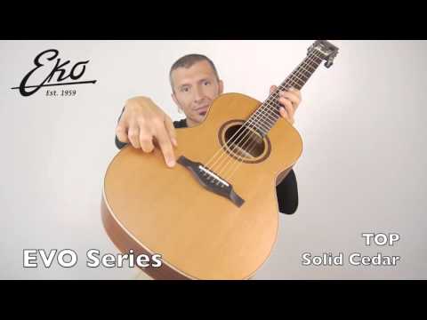 Evo Parlor Acoustic Guitar   Chitarra Acustica Audio and Video Test