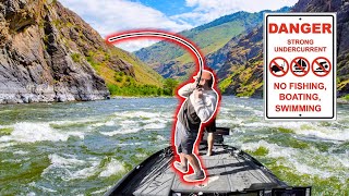 UNEXPECTED Catch Fishing INSANELY Strong River Current!