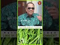 நரம்பு மண்டலத்தை வலுப்படுத்தும் கொத�