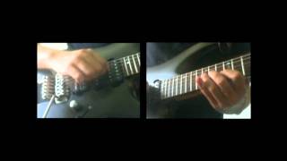 Haken - Shapeshifter (SOLOS) (by Zeva Bittencourt)