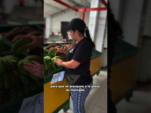 Mercado Campesino en #Durania