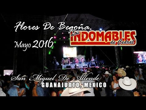 INDOMABLES De Cedral FLORES DE BEGOÑA 2016 San Miguel De Allende GUanajuato Fili Alvarado