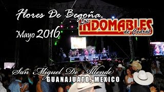 INDOMABLES De Cedral FLORES DE BEGOÑA 2016 San Miguel De Allende GUanajuato Fili Alvarado