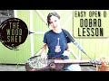 Easy Open D Tuning Song on Dobro "Too Soon"